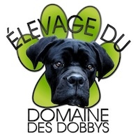 Du Domaine Des Dobbys